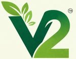 V2 Group logo